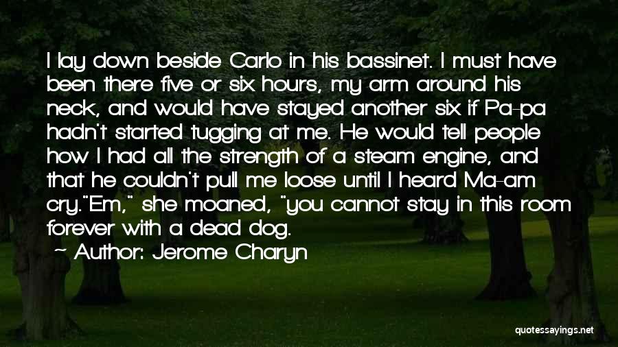 Jerome Charyn Quotes 1299247