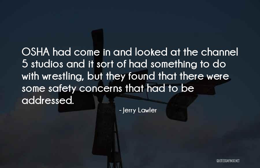 Jerry Lawler Quotes 317655