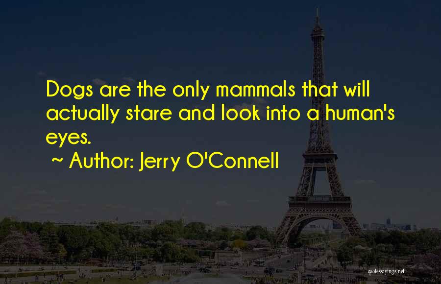 Jerry O'Connell Quotes 1780475