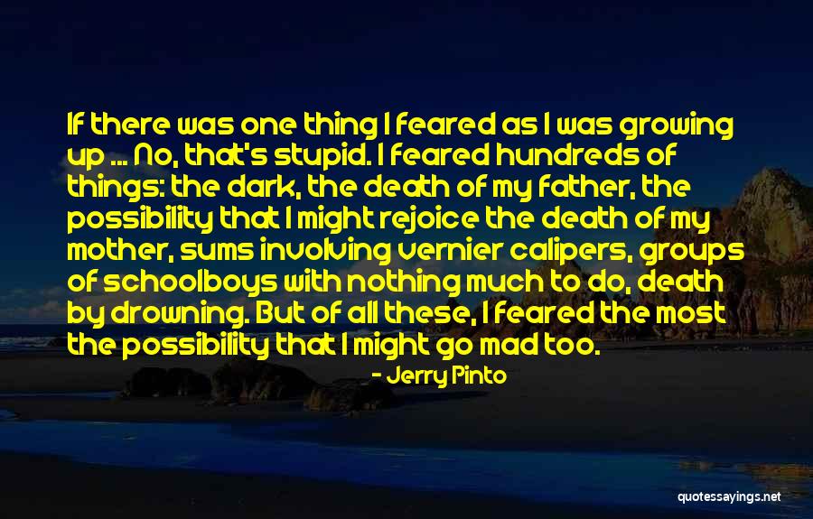 Jerry Pinto Quotes 1167875 Jerry Pinto Quotes 1167875