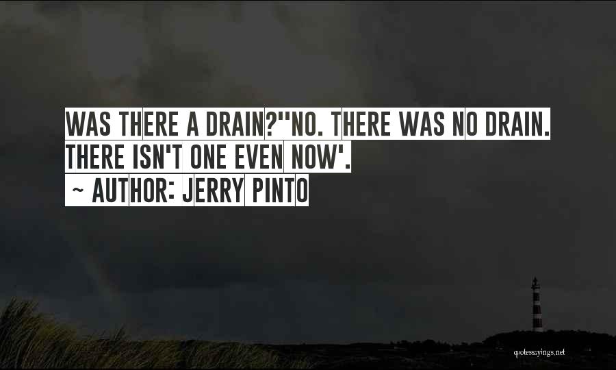 Jerry Pinto Quotes 1555398