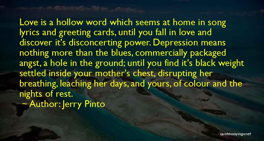 Jerry Pinto Quotes 1783517