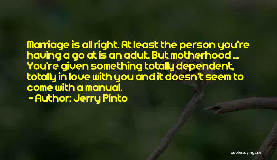 Jerry Pinto Quotes 2142171