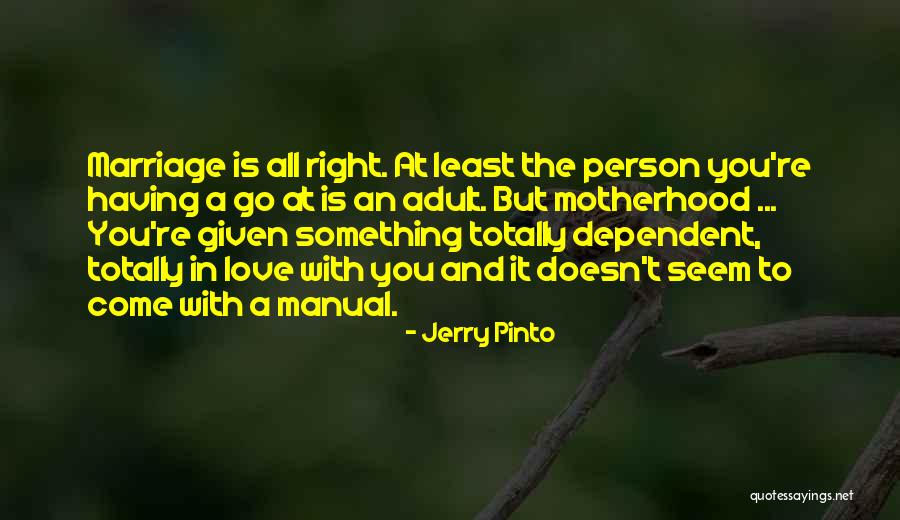 Jerry Pinto Quotes 2142171