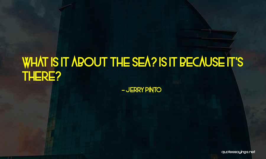 Jerry Pinto Quotes 360391