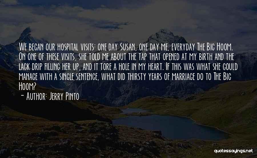 Jerry Pinto Quotes 645328
