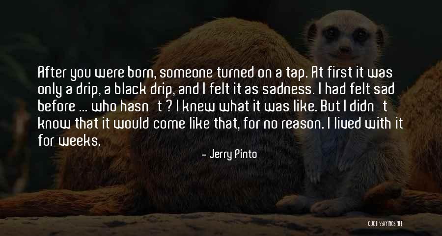 Jerry Pinto Quotes 759698