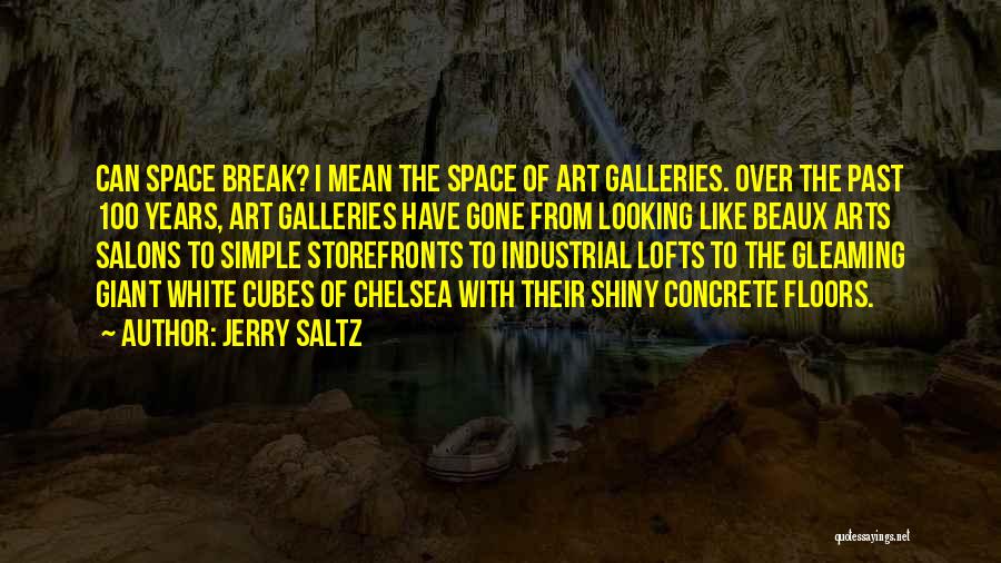 Jerry Saltz Quotes 1995110