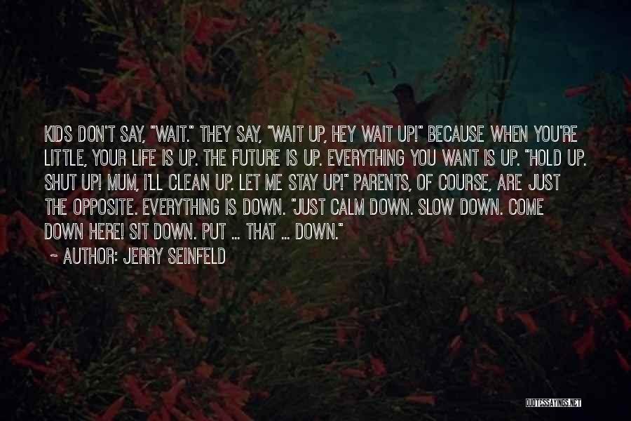 Jerry Seinfeld Quotes 1136685