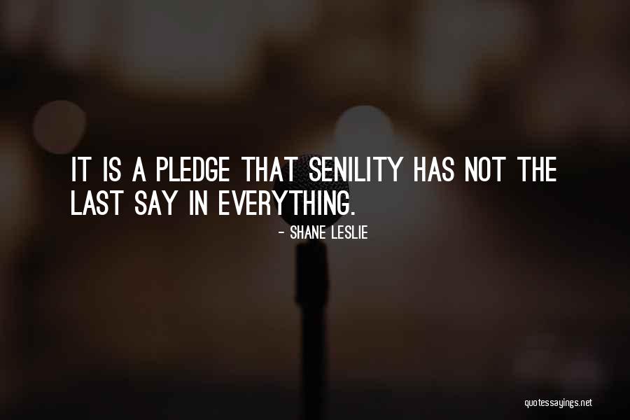 Jerry Sevelle Quotes By Shane Leslie Jerry Sevelle Quotes By Shane Leslie