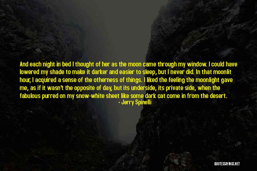 Jerry Spinelli Quotes 674704 Jerry Spinelli Quotes 674704