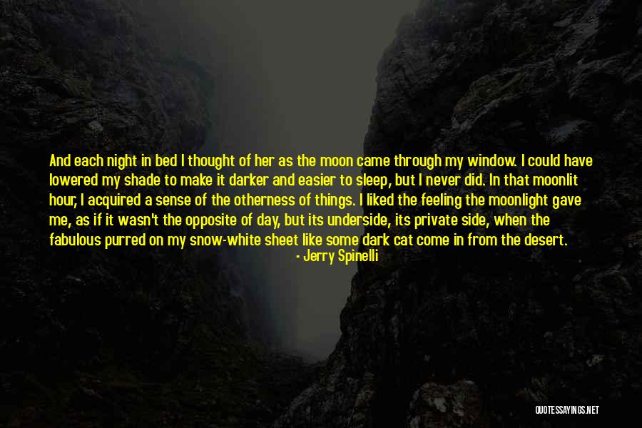 Jerry Spinelli Quotes 674704