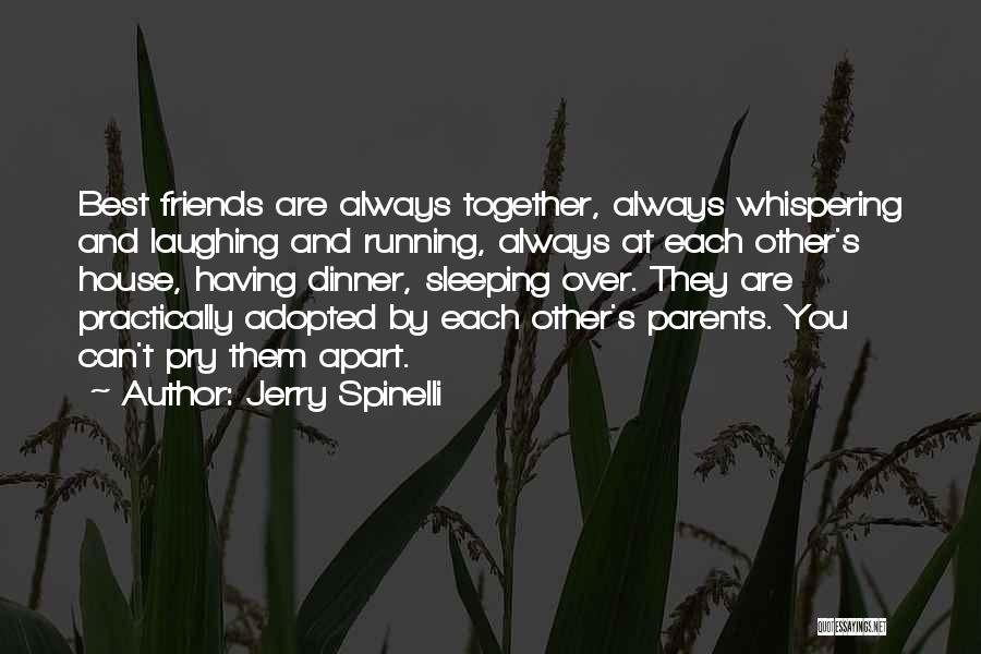 Jerry Spinelli Quotes 735999