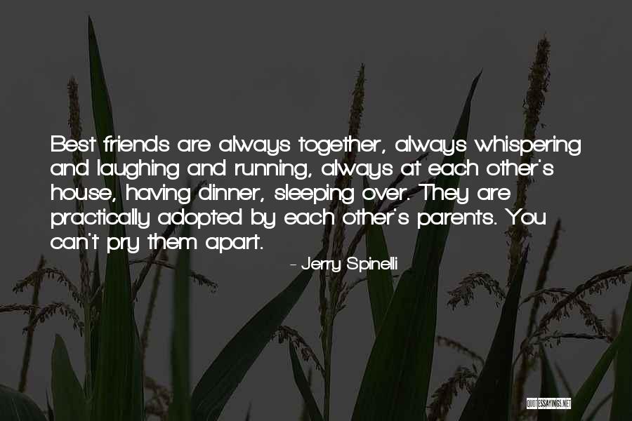 Jerry Spinelli Quotes 735999