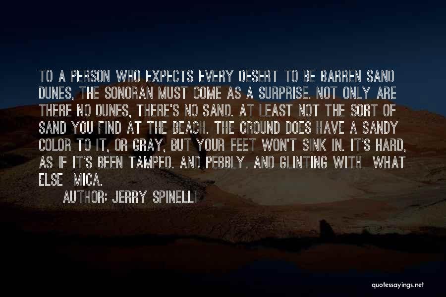 Jerry Spinelli Quotes 986561