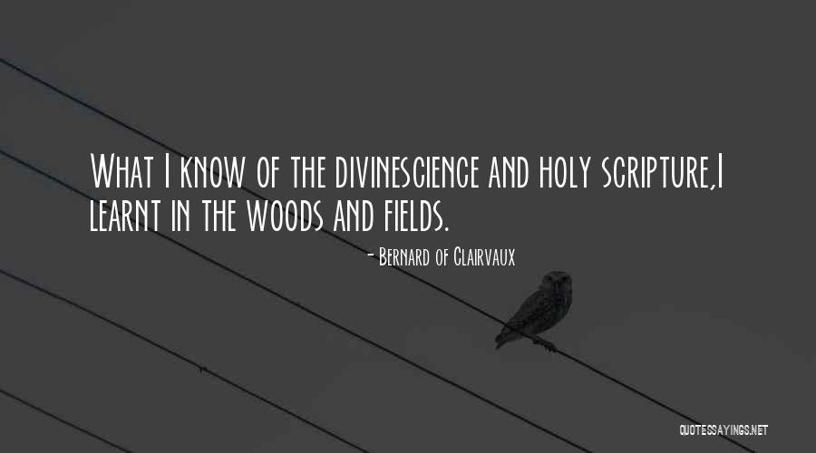 Jerushah Dufords Parents Quotes By Bernard Of Clairvaux Jerushah Dufords Parents Quotes By Bernard Of Clairvaux