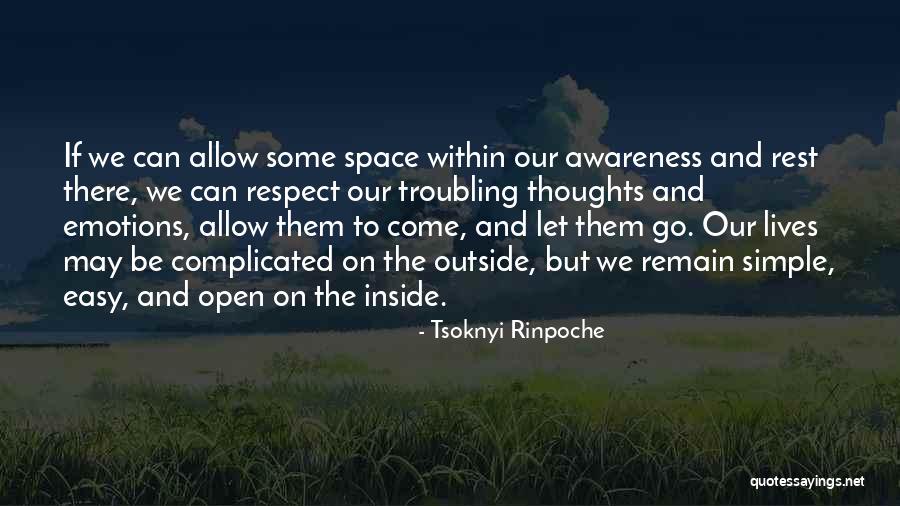 Jery Quotes By Tsoknyi Rinpoche Jery Quotes By Tsoknyi Rinpoche