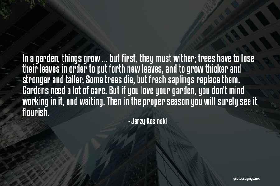 Jerzy Kosinski Quotes 1447181