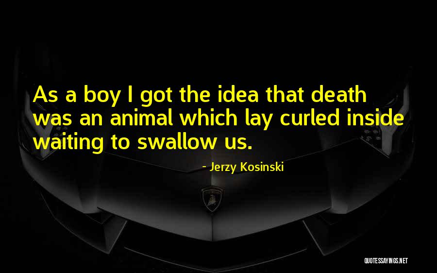 Jerzy Kosinski Quotes 1454456