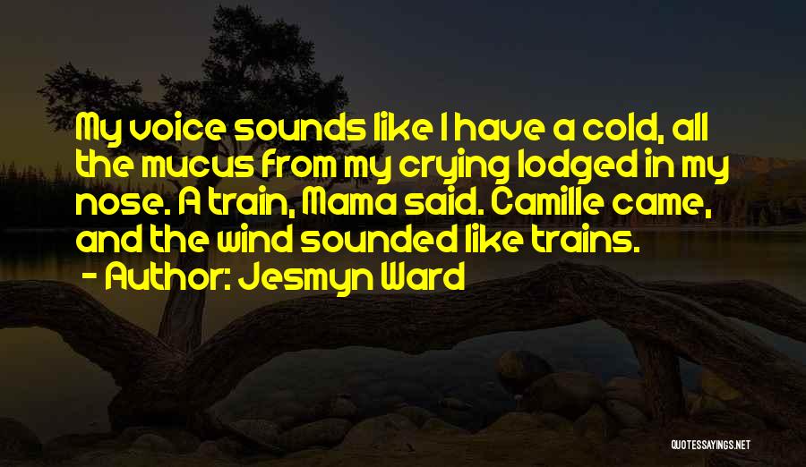 Jesmyn Ward Quotes 717949