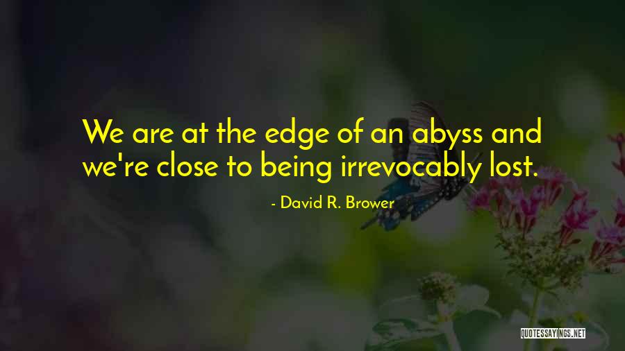 Jesse Billauer Quotes By David R. Brower