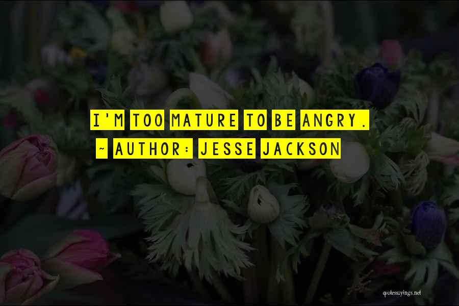 Jesse Jackson Quotes 209945