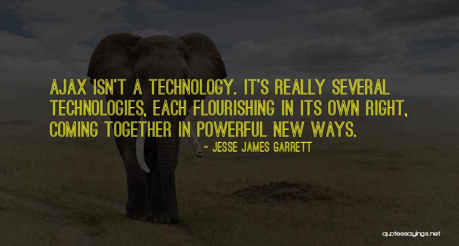 Jesse James Garrett Quotes 1967767