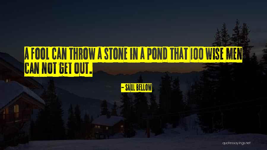 Jesselynn Correa Quotes By Saul Bellow