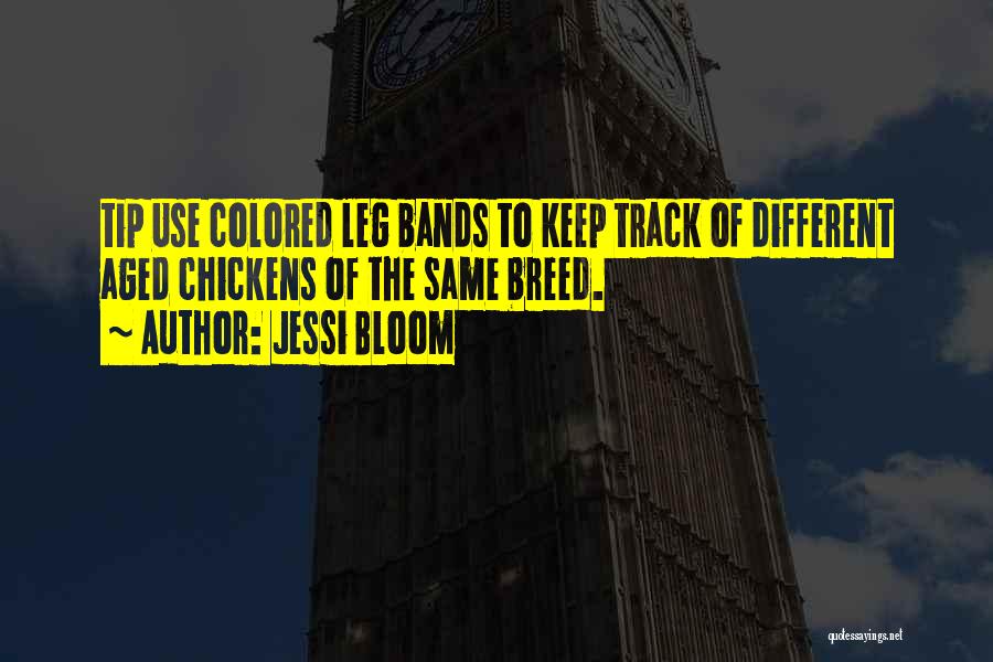 Jessi Bloom Quotes 1023018