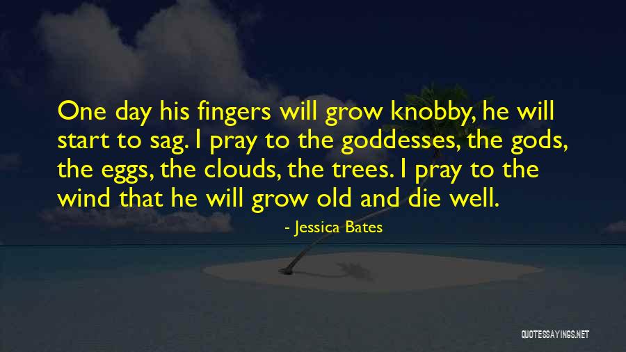 Jessica Bates Quotes 750178