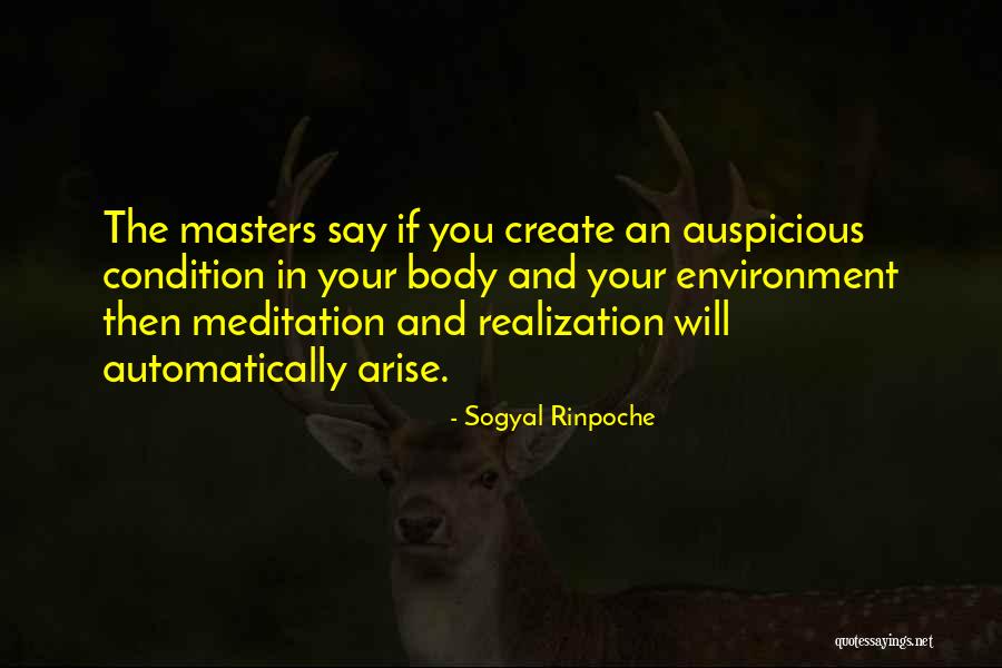 Jessica Rowe Quotes By Sogyal Rinpoche Jessica Rowe Quotes By Sogyal Rinpoche