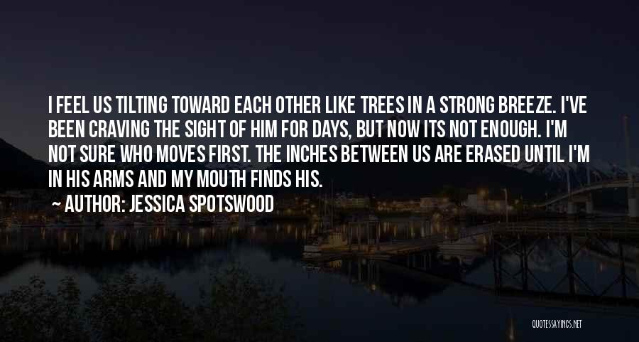 Jessica Spotswood Quotes 773490