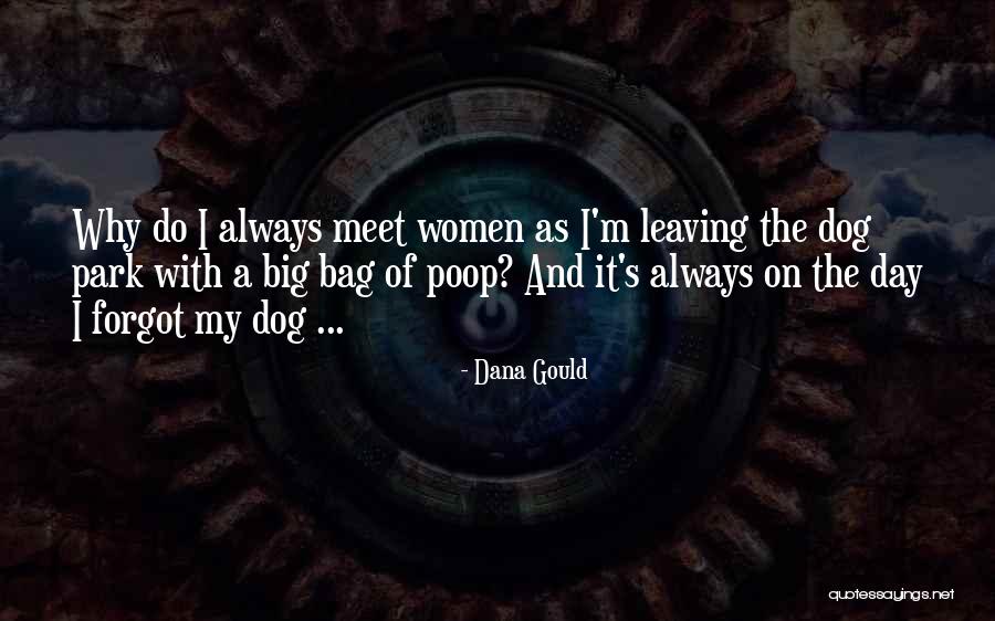 Jessurun Quotes By Dana Gould Jessurun Quotes By Dana Gould