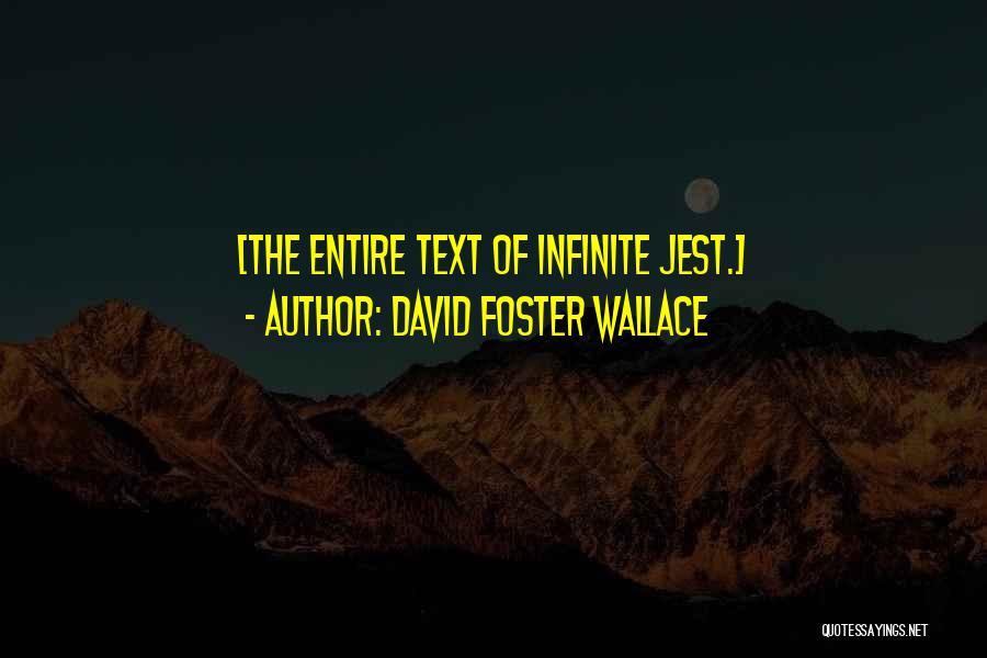 Jest Quotes By David Foster Wallace