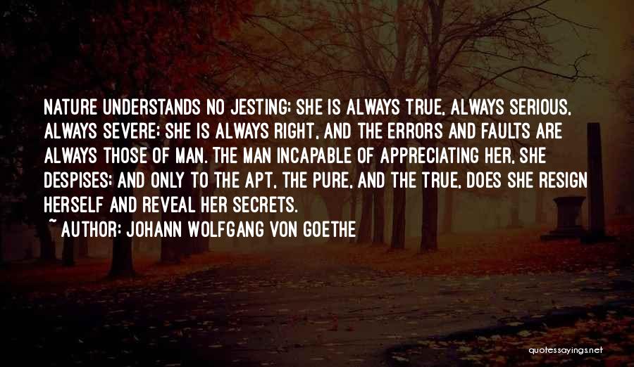 Jesting Quotes By Johann Wolfgang Von Goethe
