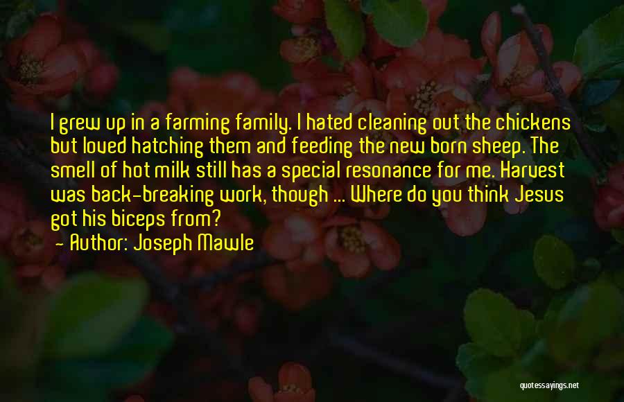 Jesus And Family Quotes By Joseph Mawle