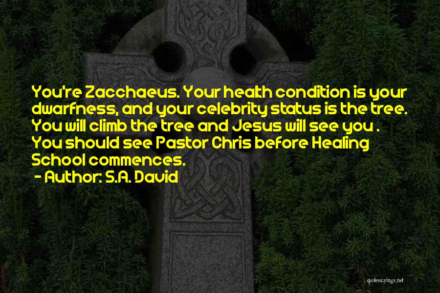 Jesus And Healing Quotes By S.A. David