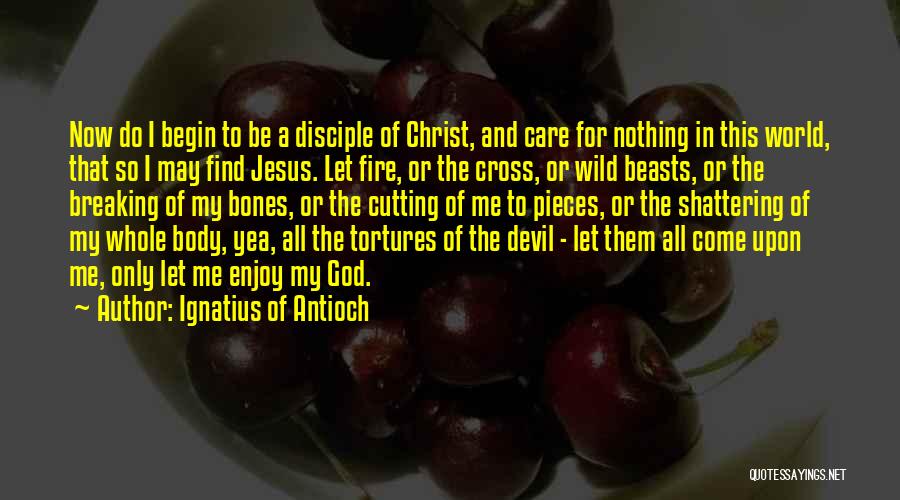 Jesus And The Devil Quotes By Ignatius Of Antioch