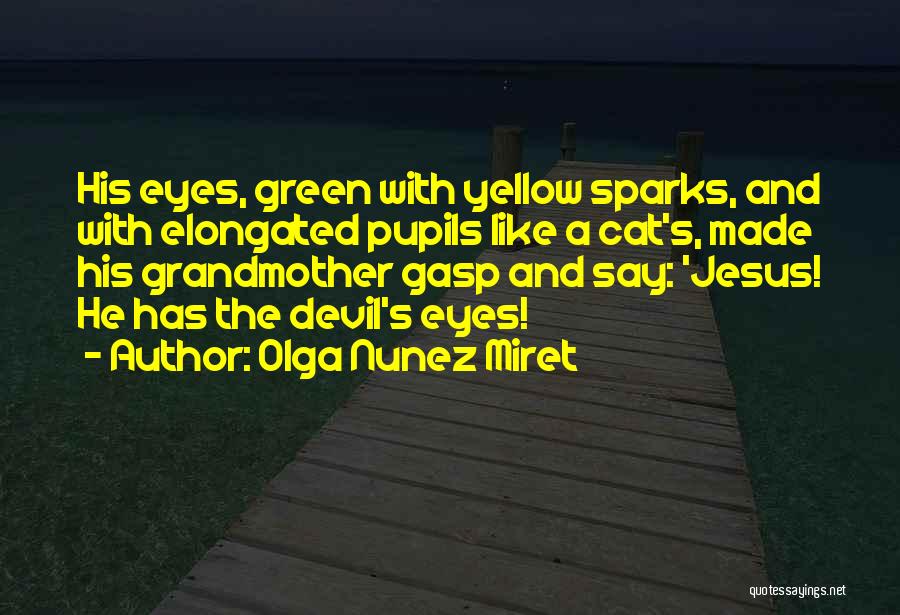 Jesus And The Devil Quotes By Olga Nunez Miret