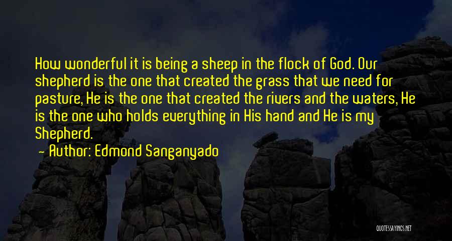 Jesus As Shepherd Quotes By Edmond Sanganyado