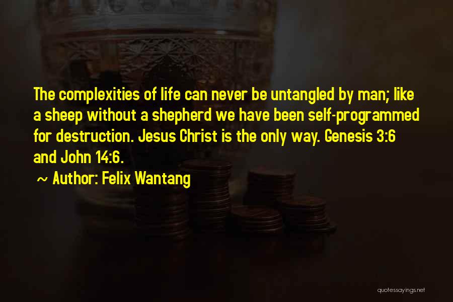 Jesus As Shepherd Quotes By Felix Wantang