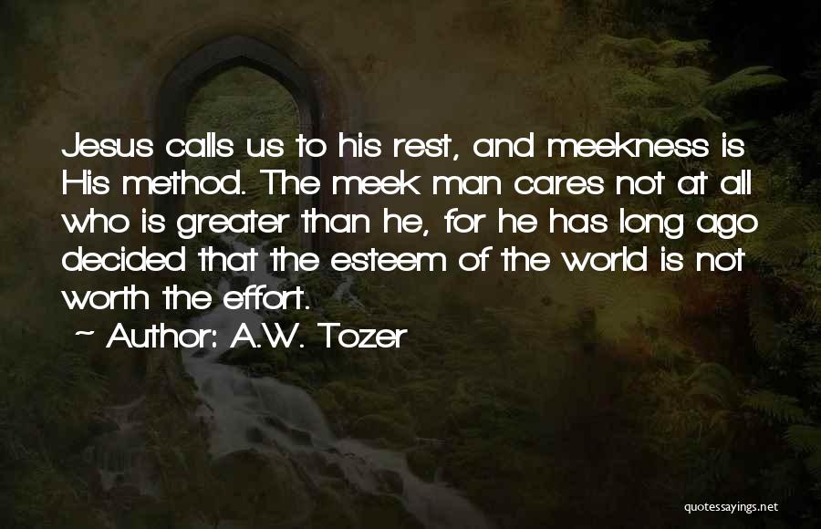 Jesus Cares For You Quotes By A.W. Tozer