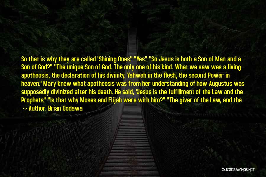 Jesus' Divinity Quotes By Brian Godawa