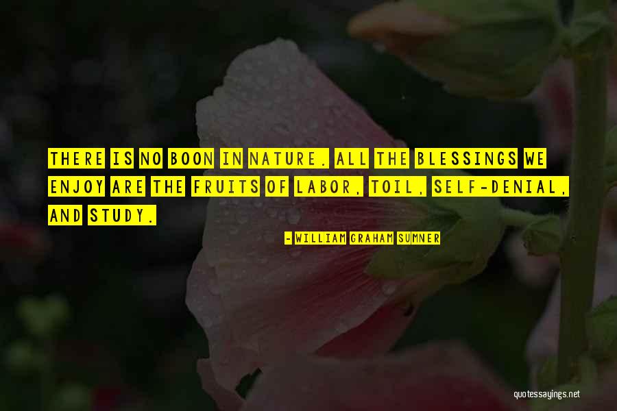 Jesus Healing A Paralyzed Man Quotes By William Graham Sumner Jesus Healing A Paralyzed Man Quotes By William Graham Sumner