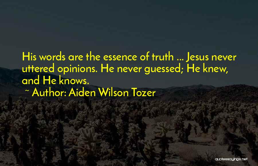 Jesus I Never Knew Quotes By Aiden Wilson Tozer