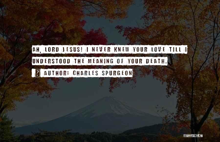 Jesus I Never Knew Quotes By Charles Spurgeon