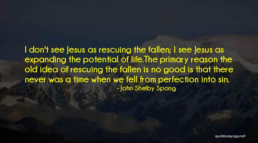 Jesus Idea Quotes By John Shelby Spong Jesus Idea Quotes By John Shelby Spong