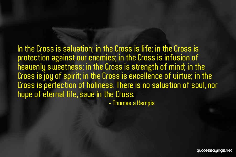 Jesus Is Our Hope Quotes By Thomas A Kempis Jesus Is Our Hope Quotes By Thomas A Kempis