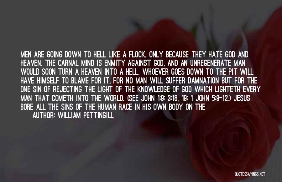 Jesus Light Of The World Quotes By William Pettingill