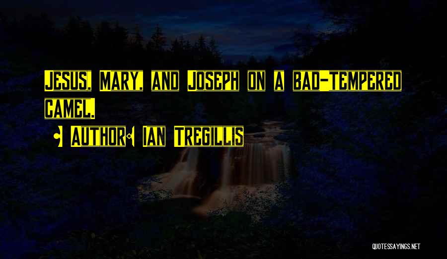 Jesus Mary And Joseph Quotes By Ian Tregillis